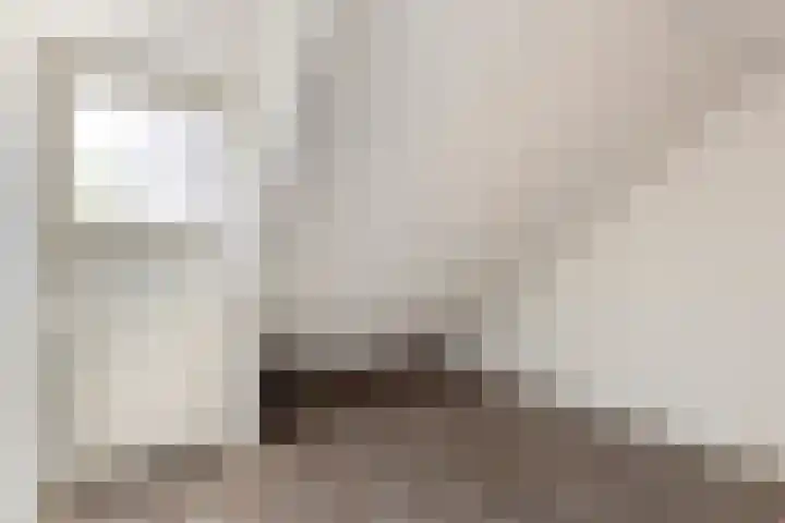Molenstraat 12 Gemert thumbnail 22