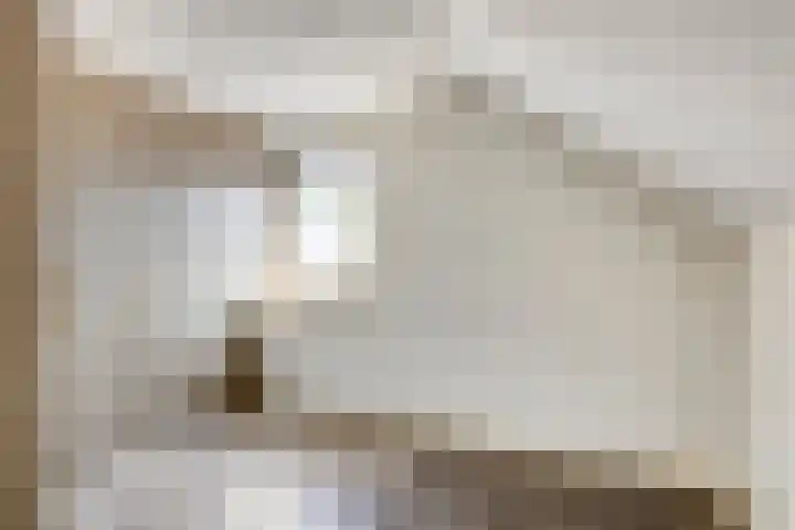 Molenstraat 12 Gemert thumbnail 23