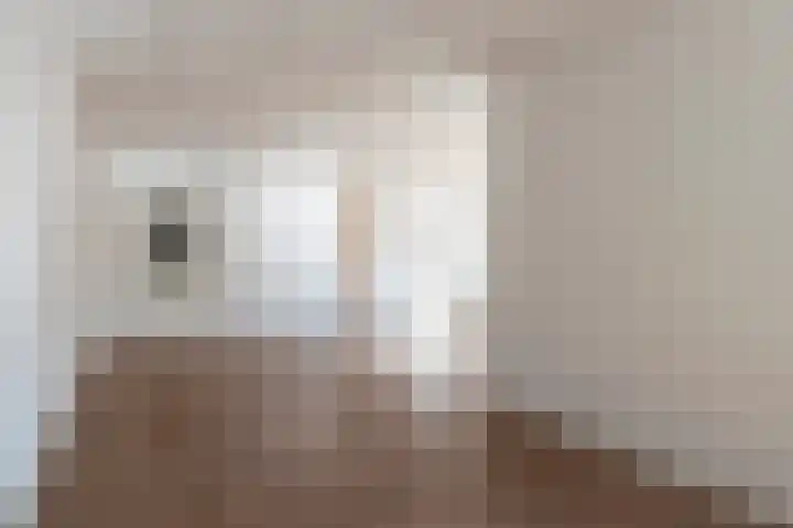 Molenstraat 12 Gemert thumbnail 7