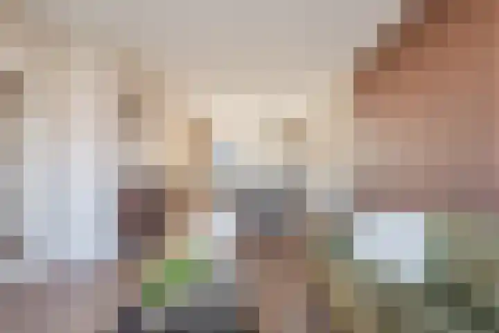 Molenstraat 12 Herpen thumbnail 10