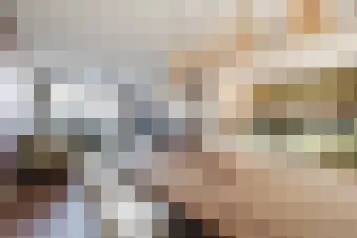 Molenstraat 12 Herpen thumbnail 11