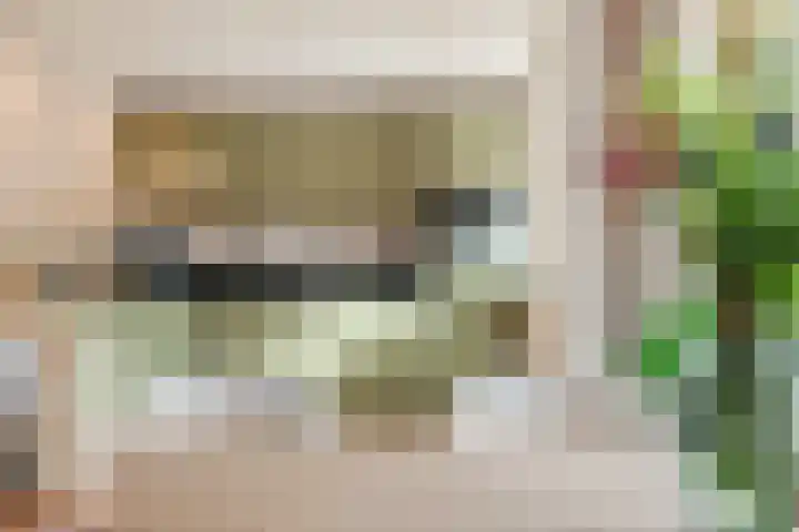 Molenstraat 12 Herpen thumbnail 12