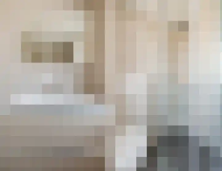 Molenstraat 12 Herpen thumbnail 23
