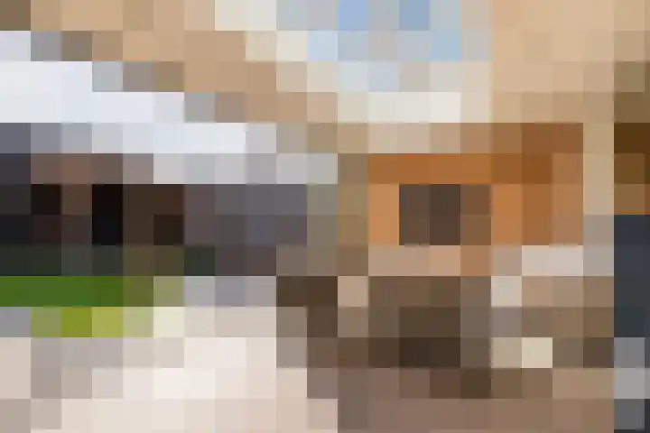 Molenstraat 12 Herpen thumbnail 28