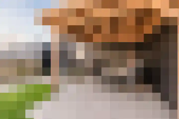 Molenstraat 12 Herpen thumbnail 30