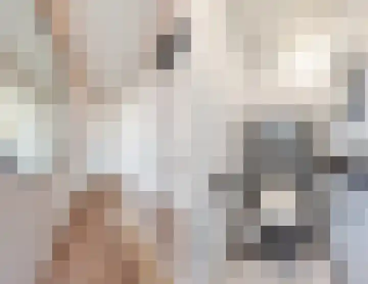 Molenstraat 12 Herpen thumbnail 6