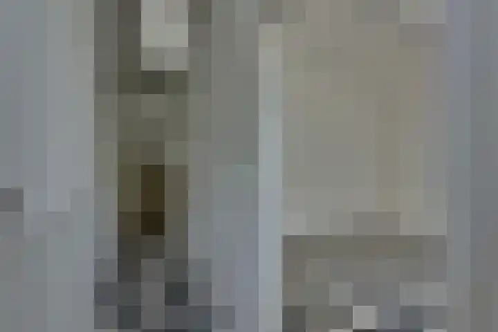 Molenstraat 12 Kampen thumbnail 25