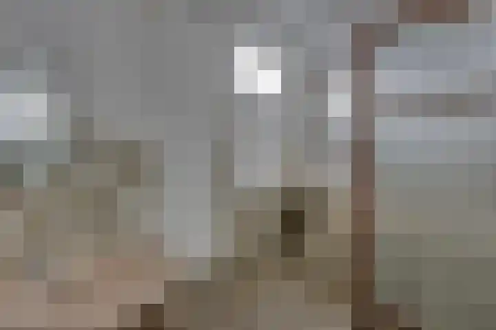 Molenstraat 12 Kampen thumbnail 26