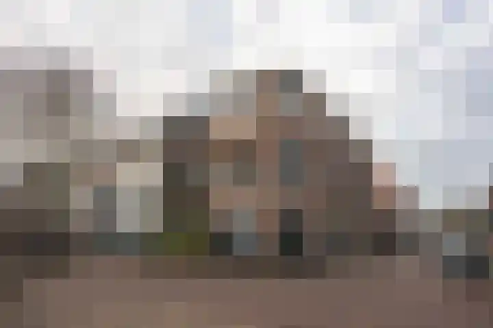 Molenstraat 123 Deventer thumbnail 15