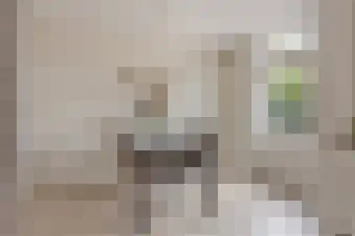 Molenstraat 129 Oss thumbnail 11