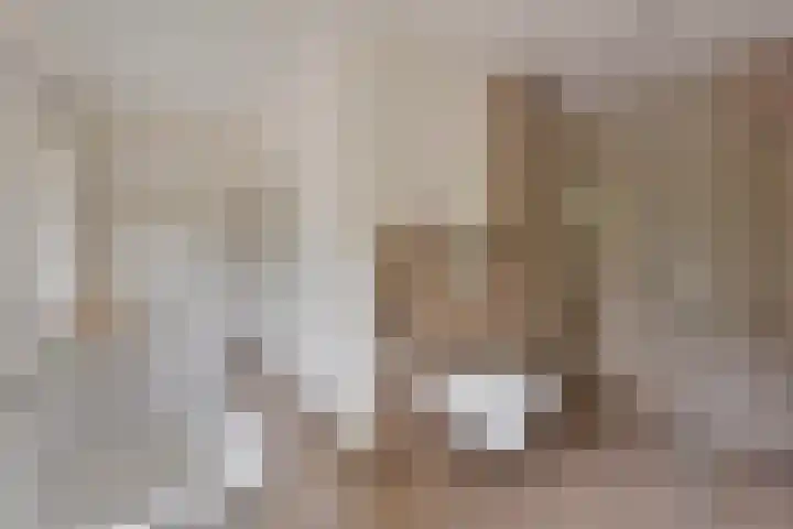 Molenstraat 129 Oss thumbnail 18