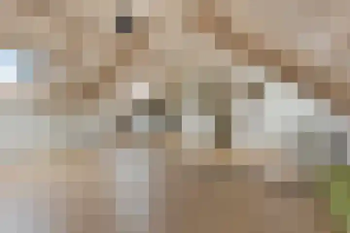 Molenstraat 129 Oss thumbnail 26