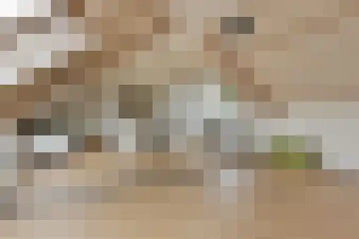 Molenstraat 129 Oss thumbnail 28