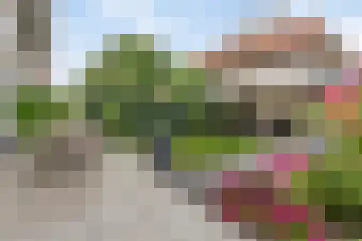 Molenstraat 129 Oss thumbnail 32