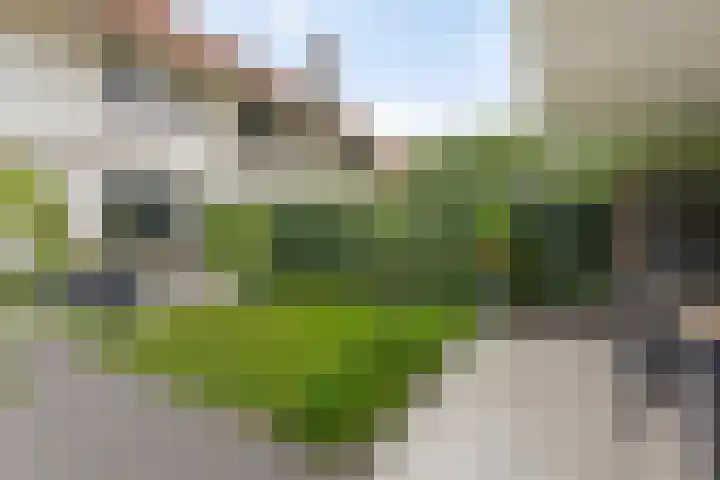 Molenstraat 129 Oss thumbnail 35