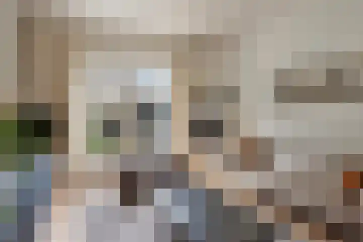 Molenstraat 129 Oss thumbnail 4