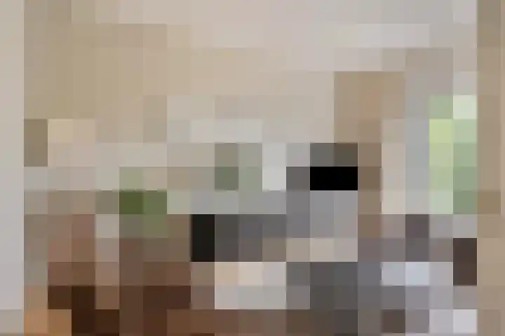 Molenstraat 129 Oss thumbnail 6