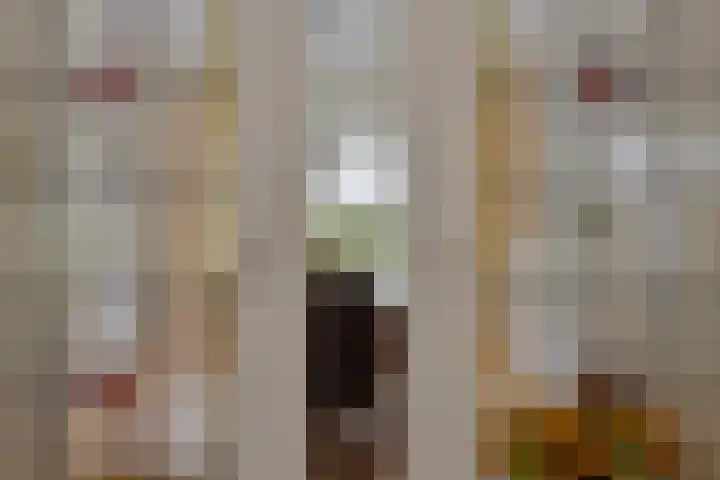 Molenstraat 129 Oss thumbnail 7