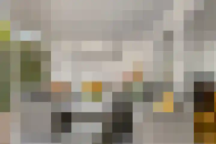 Molenstraat 13 Someren thumbnail 35