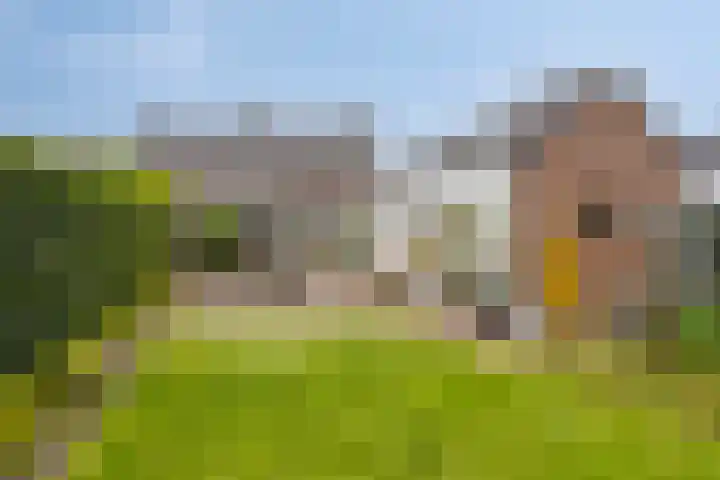 Molenstraat 13 Someren thumbnail 41
