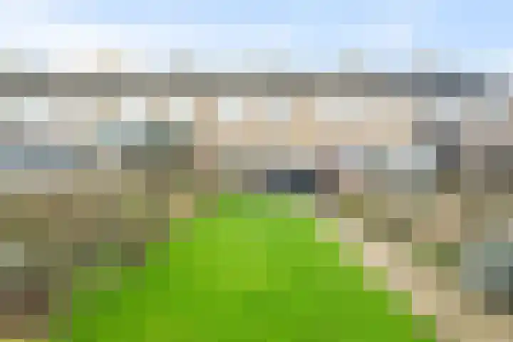 Molenstraat 14 Den Oever thumbnail 26