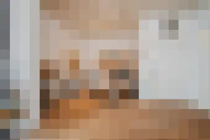 Molenstraat 14 Gemert thumbnail 12