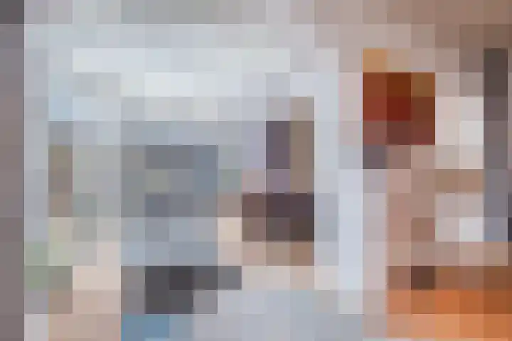 Molenstraat 14 Gemert thumbnail 14