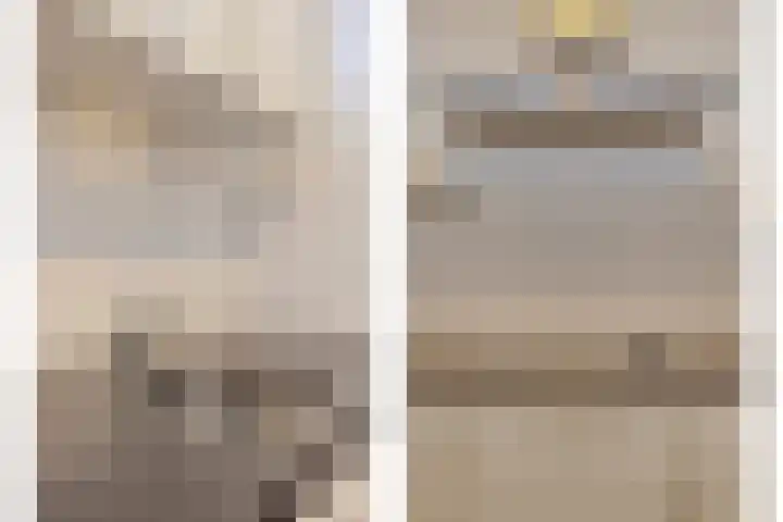 Molenstraat 14 Gemert thumbnail 20