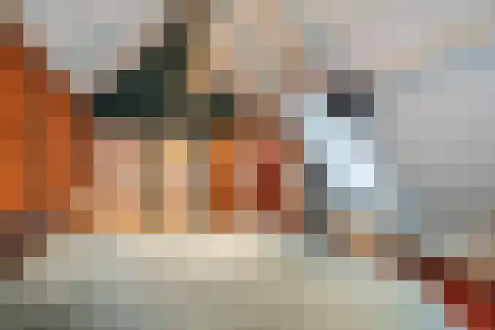 Molenstraat 14 Gemert thumbnail 26