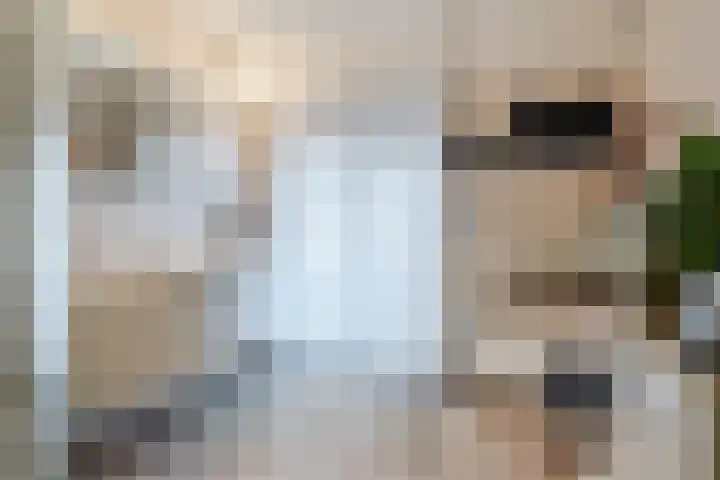 Molenstraat 14 Gemert thumbnail 29