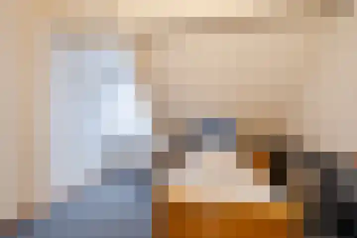 Molenstraat 14 Gemert thumbnail 31