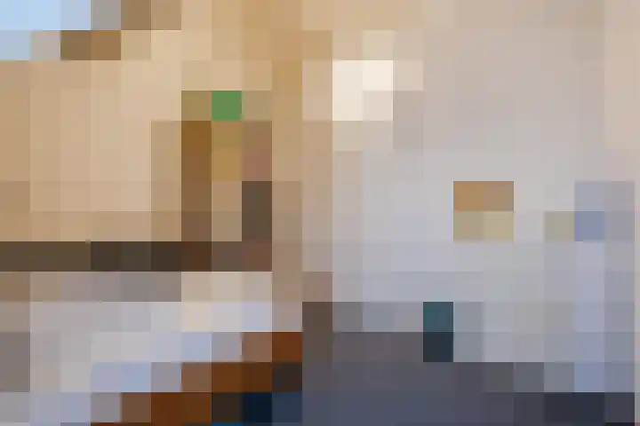 Molenstraat 14 Gemert thumbnail 32