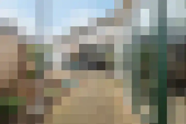 Molenstraat 14 Gemert thumbnail 34