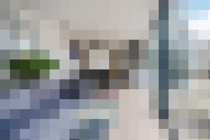 Molenstraat 14 Gemert thumbnail 36