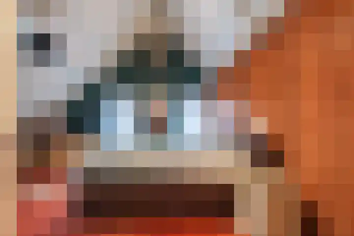 Molenstraat 14 Gemert thumbnail 4