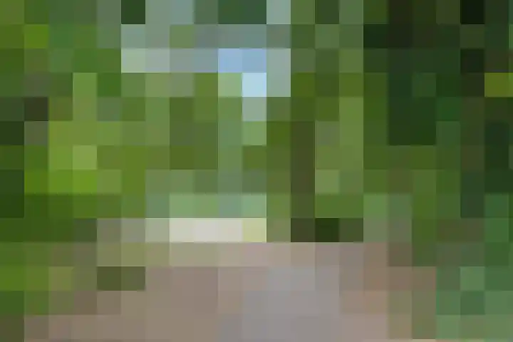 Molenstraat 17 Beugen thumbnail 17