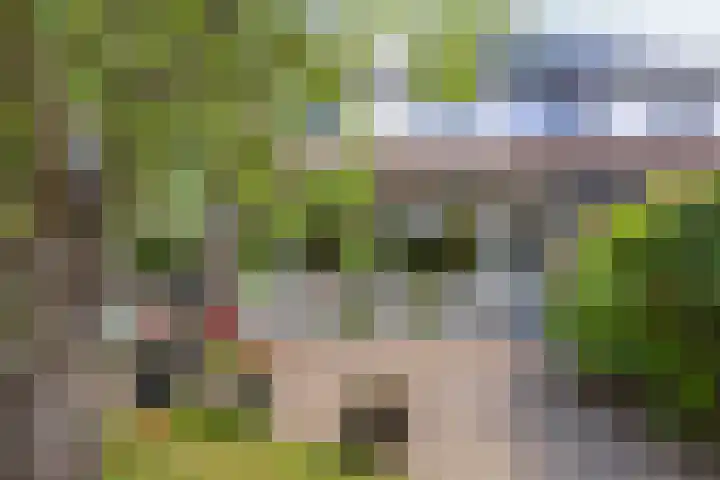 Molenstraat 17 Beugen thumbnail 25