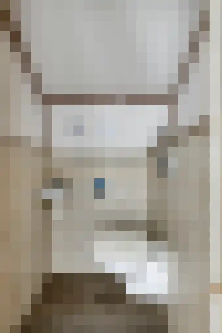 Molenstraat 17 Bruinisse thumbnail 17