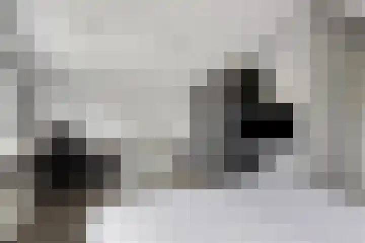 Molenstraat 17 Bruinisse thumbnail 22