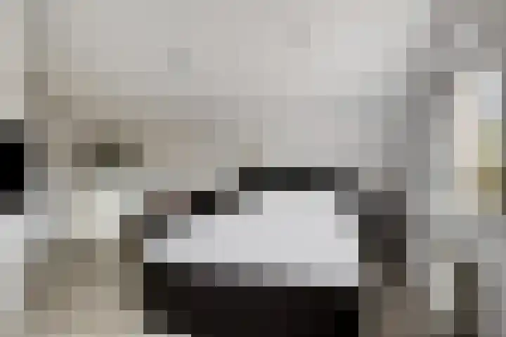 Molenstraat 17 Bruinisse thumbnail 23