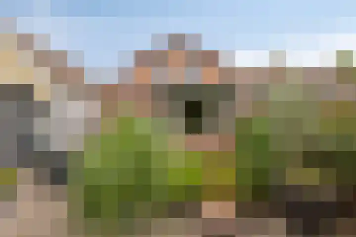 Molenstraat 17 Bruinisse thumbnail 26
