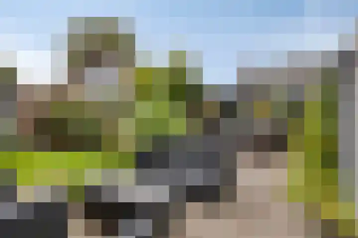 Molenstraat 17 Bruinisse thumbnail 28
