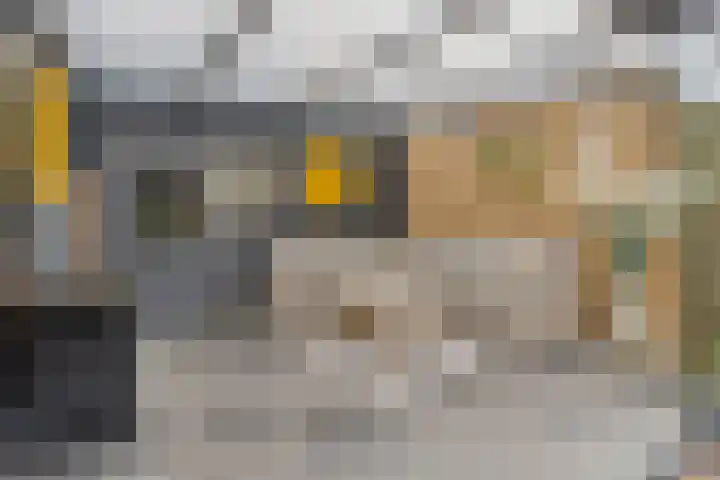 Molenstraat 17 Bruinisse thumbnail 30