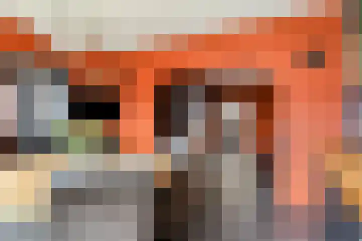 Molenstraat 17 Bruinisse thumbnail 9