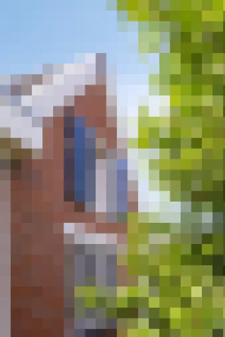 Molenstraat 174 Assen thumbnail 47