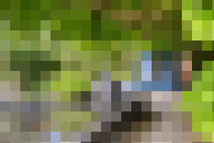 Molenstraat 174 Assen thumbnail 49