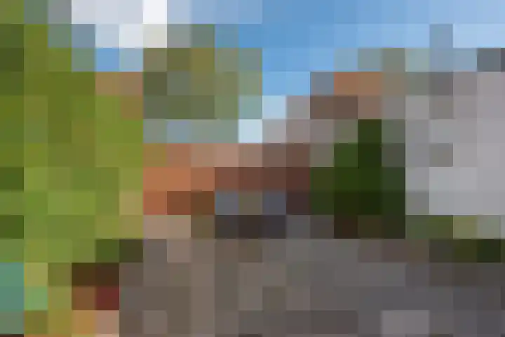 Molenstraat 174 Zoetermeer thumbnail 10