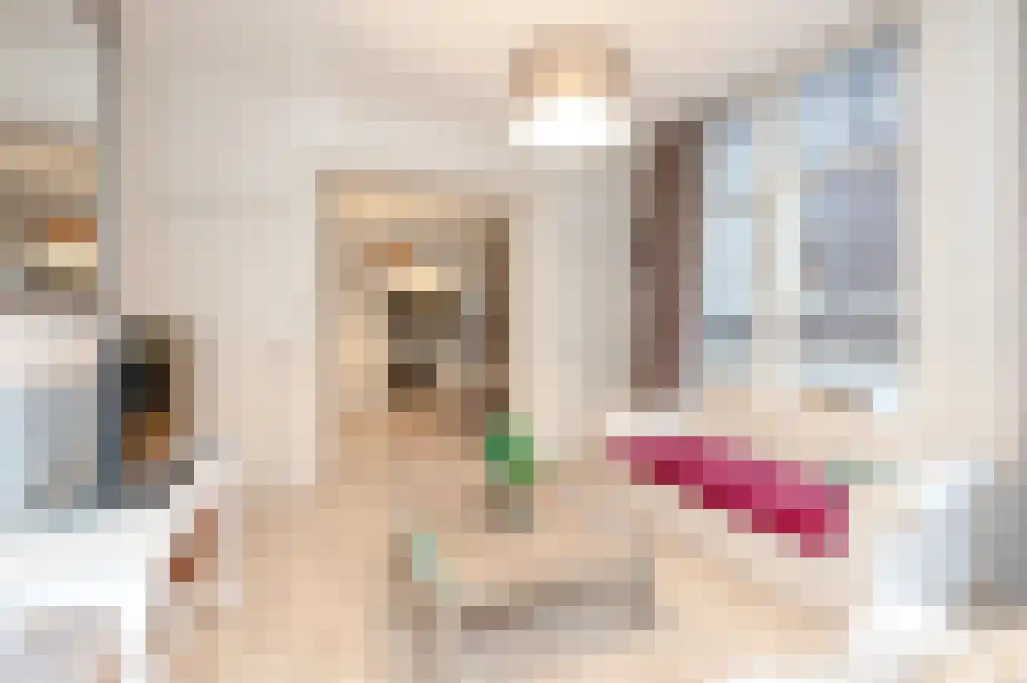 Molenstraat 2 Den Haag thumbnail 13