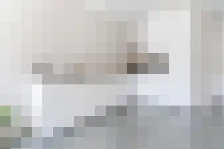 Molenstraat 2 G Hapert thumbnail 14