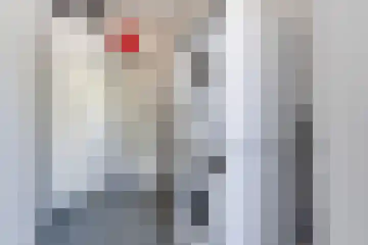 Molenstraat 2 G Hapert thumbnail 20